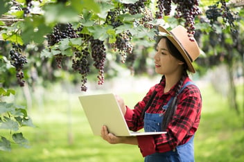 happy-young-women-gardener-holding-branches-ripe-blue-grape 